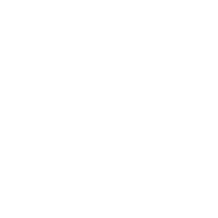 Dirt In Your Veins Logo